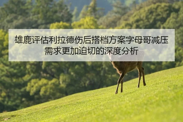 雄鹿评估利拉德伤后搭档方案字母哥减压需求更加迫切的深度分析