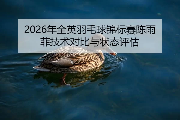 nian-quan-ying-yu-mao-qiu-jin-biao-sai-chen-yu-fei-ji-shu-dui-bi-yu-zhuang-tai-ping-gu-2-960.jpg