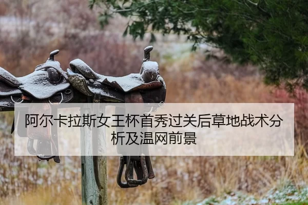 a-er-ka-la-si-nv-wang-bei-shou-xiu-guo-guan-hou-cao-di-zhan-shu-fen-xi-ji-wen-wang-qian-jing-2-990.jpg