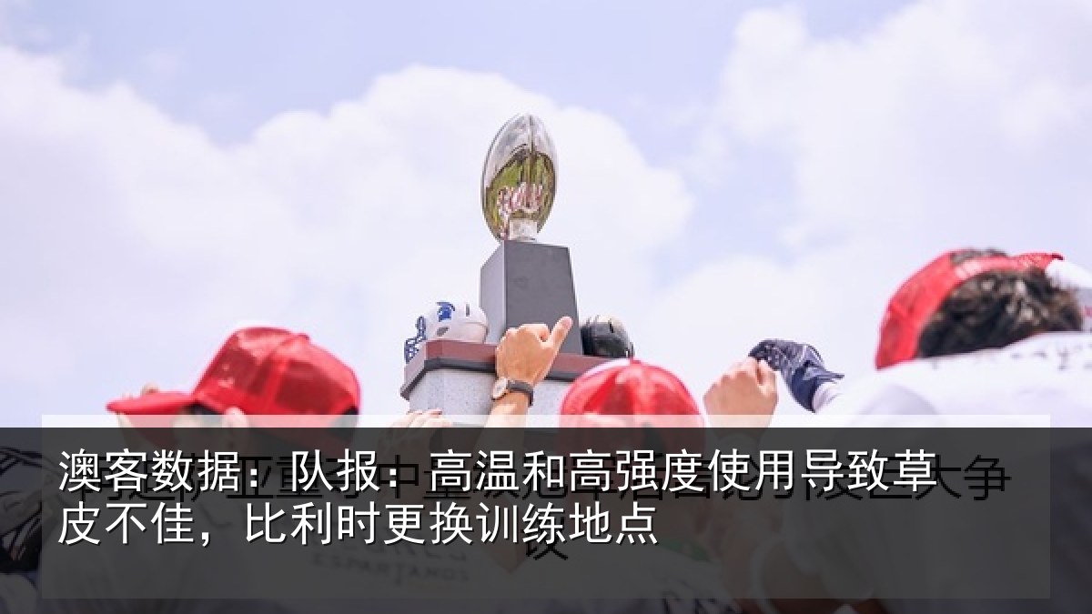 澳客数据：队报：高温和高强度使用导致草皮不佳，比利时更换训练地点