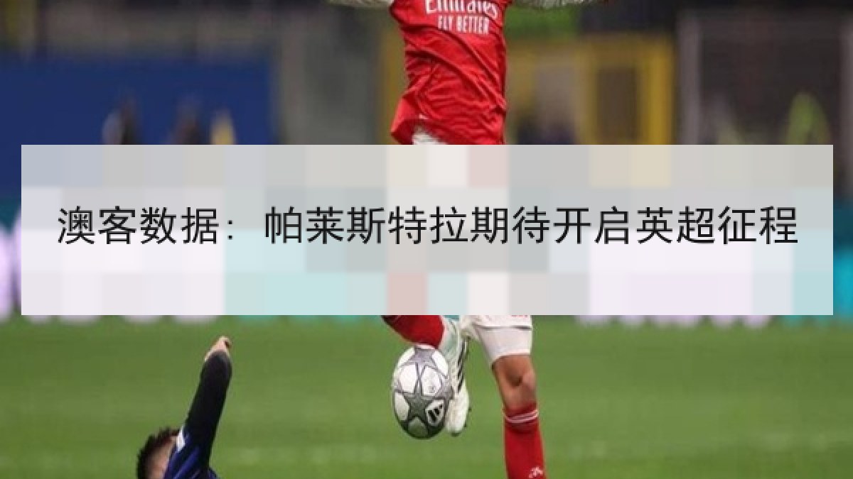 澳客数据: 帕莱斯特拉期待开启英超征程