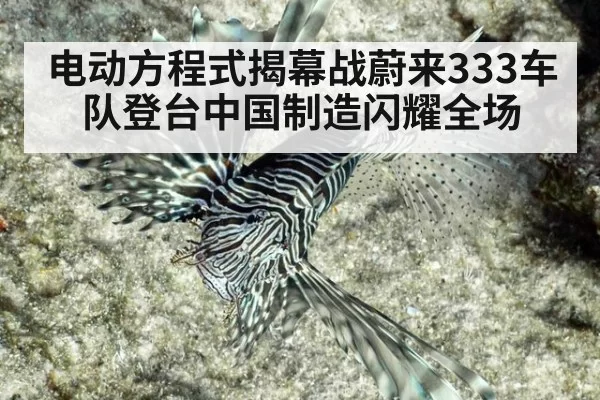 电动方程式揭幕战蔚来333车队登台中国制造闪耀全场