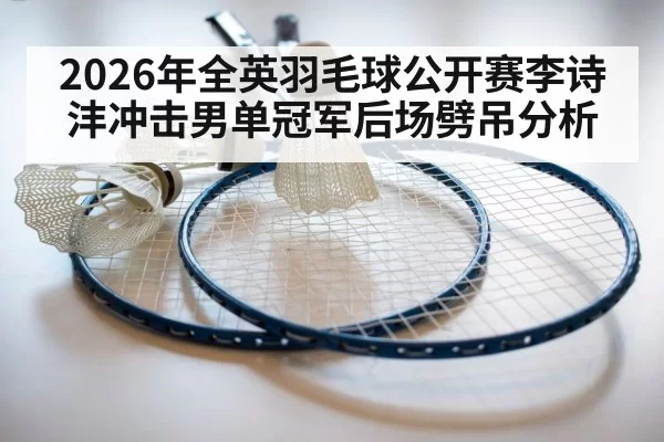 2026年全英羽毛球公开赛李诗沣冲击男单冠军后场劈吊分析